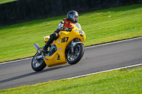 anglesey;brands-hatch;cadwell-park;croft;donington-park;enduro-digital-images;event-digital-images;eventdigitalimages;mallory;no-limits;oulton-park;peter-wileman-photography;racing-digital-images;silverstone;snetterton;trackday-digital-images;trackday-photos;vmcc-banbury-run;welsh-2-day-enduro